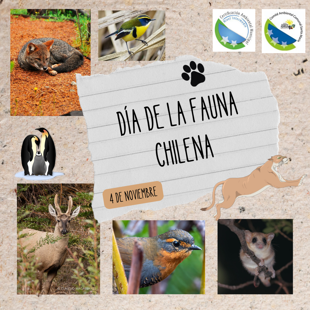 “Día de la fauna chilena”
